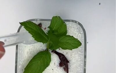 Milkshake med is – drikkeklar dessert med mint smag på få minutter